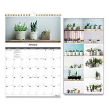 12-Month Wall Calendar, Succulent Plants Photography, 12 x 17, White/Multicolor Sheets, 12-Month (Jan to Dec): 2024