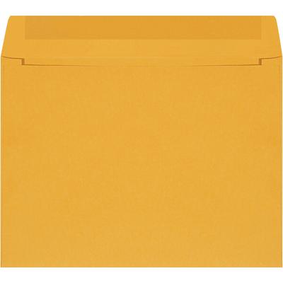 View larger image of 12 x 9" Kraft Self-Seal Envelopes