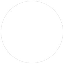 3" Circles - White Removable Labels