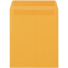 9 1/2 x 12 1/2" Kraft Redi-Seal Envelopes