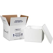 9 1/2 x 9 1/2 x 7" Insulated Shipping Kit