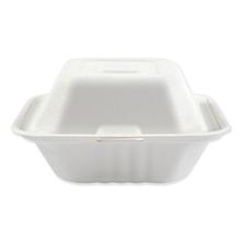 Bagasse Food Containers, Hinged-Lid, 1-Compartment 6 x 6 x 3.19, White, Sugarcane, 125/Sleeve, 4 Sleeves/Carton
