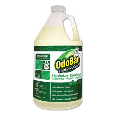 View larger image of Concentrated Odor Eliminator and Disinfectant, Eucalyptus, 1 gal Bottle