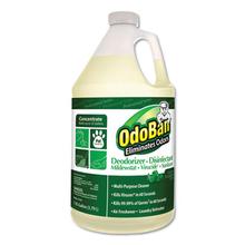 Concentrated Odor Eliminator and Disinfectant, Eucalyptus, 1 gal Bottle