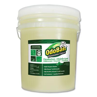 View larger image of Concentrated Odor Eliminator and Disinfectant, Eucalyptus, 5 gal Pail
