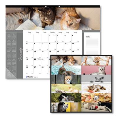 View larger image of Pets Collection Monthly Desk Pad, Furry Kittens Photography, 22 x 17, White Sheets, Black Binding, 12-Month (Jan-Dec): 2024