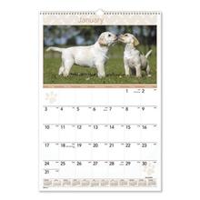 Puppies Monthly Wall Calendar, Puppies Photography, 15.5 x 22.75, White/Multicolor Sheets, 12-Month (Jan to Dec): 2024